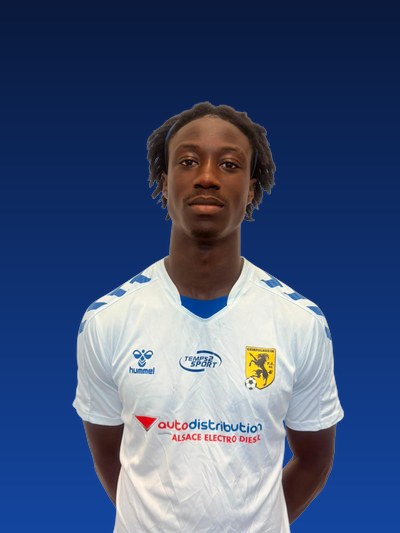 Yves Fall